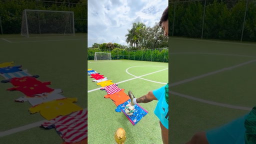 WHO WINS WC ? #soccer #football #footballshorts #worldcup