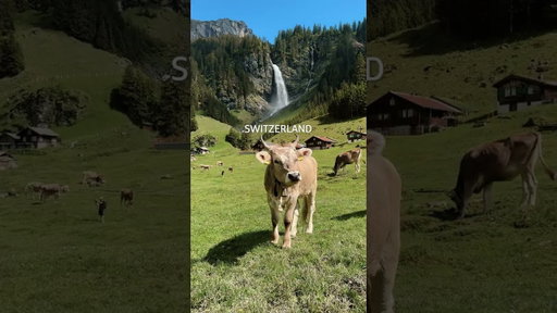 Switzerland 5-Day itinerary