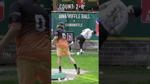 What Would You Do?🤔 #dingersornothing #wiffleball #baseball #shorts