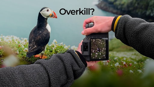 100 Megapixels Vs Wildlife Photography — Hasselblad X2D II