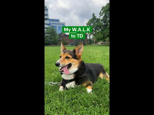 POV: Dog Walk to TD