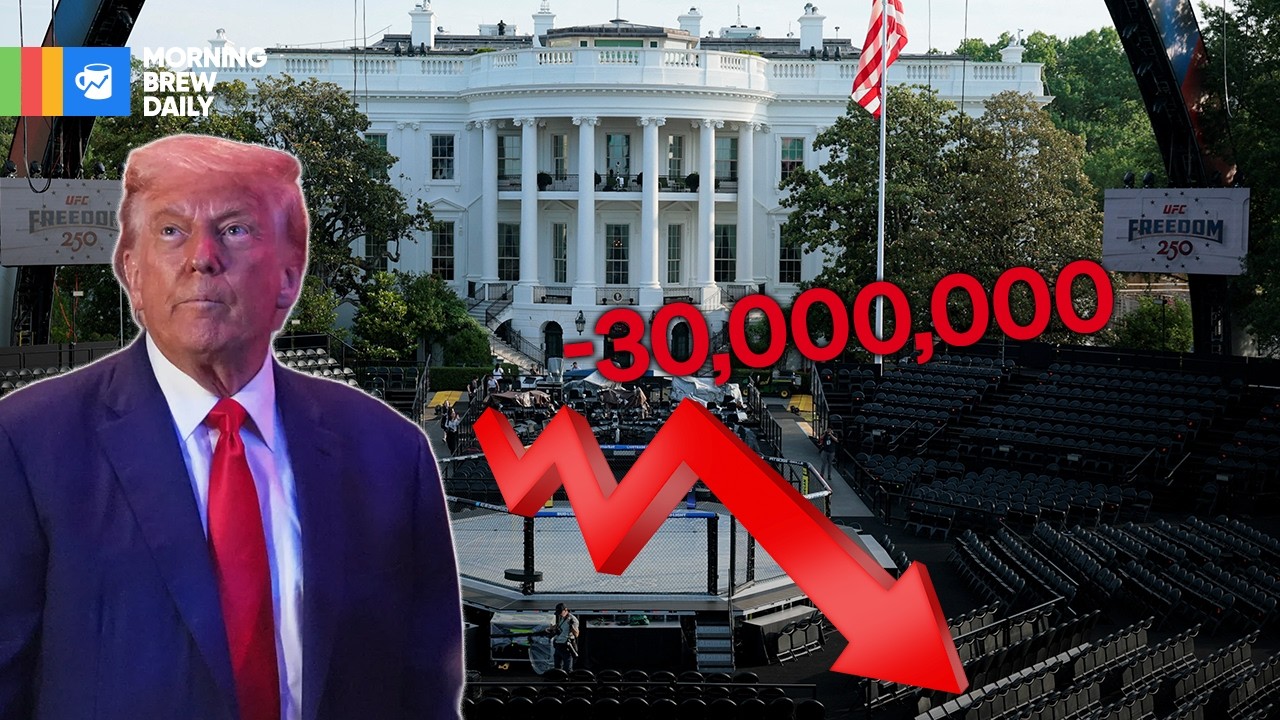 UFC loses $30 million on White House cage match