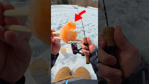 Ice Fishing with SHRIMP 🐟🎣