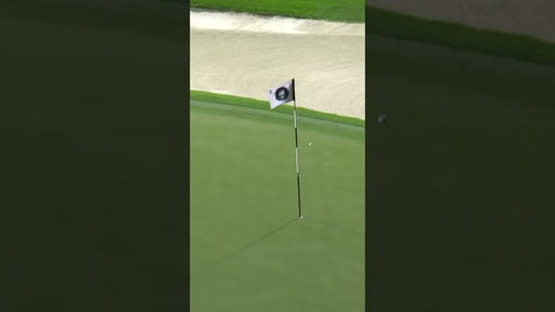 How did this NOT go in 😳