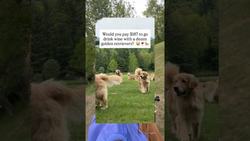 Finally visited the famous Goldens in Vermont!