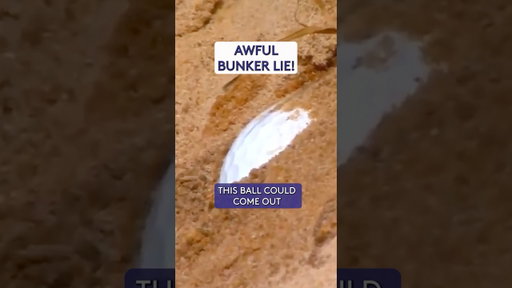 How BAD is this? 😡