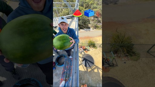 Will it Bounce??