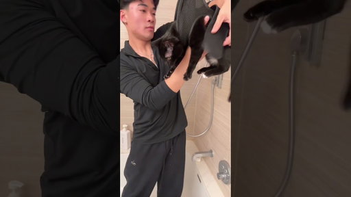 Jarvis, how to cut my cat’s claws and how to brush my cat’s teeth?
