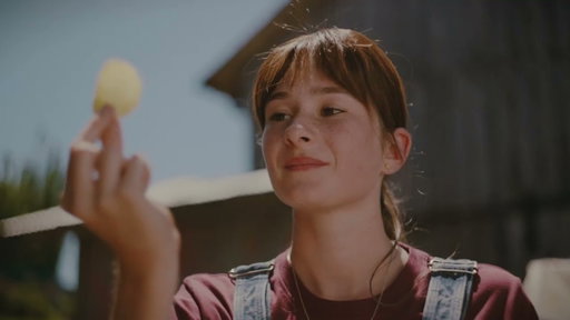 LAY'S® | Last Harvest | :15 'Chips'