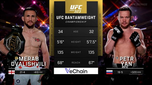 Merab Dvalishvili x Petr Yan 2 | LUTA COMPLETA | UFC 333