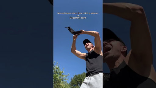 Normal bears when they catch a salmon vs Dagestani bears. #shorts #skit #ufc #funny