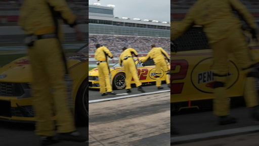 Sights and sounds for your timeline.