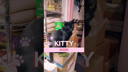 Meet Kitty and Minnie in Murray Hill ft. Shop regular Scarlett Estevez  @Netflix