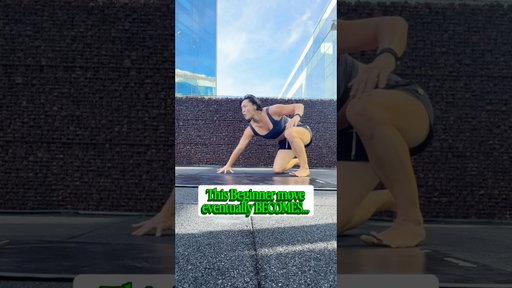 Beginner moves is mastery in the basics, be patient, let it be messy,  fine tune as you go.