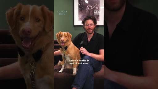 Don’t worry about our Good Boy. In theaters now.