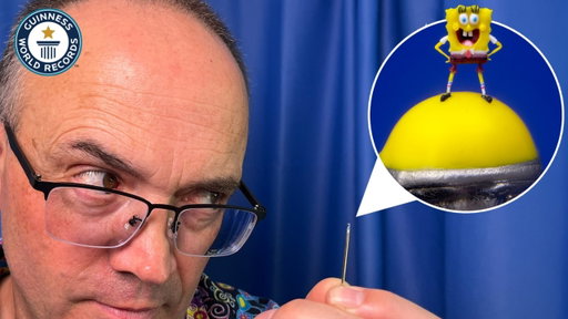 I Make the World's Tiniest Sculptures | Guinness World Records