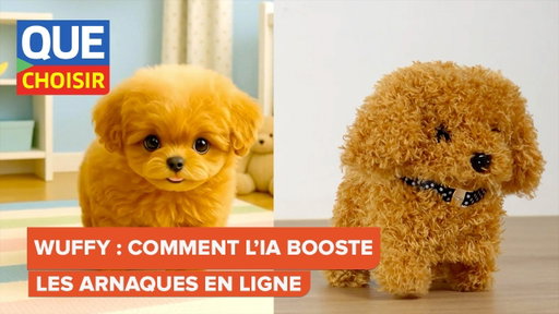 Wuffy : comment l'intelligence artificielle booste les arnaques en ligne I UFC Que Choisir