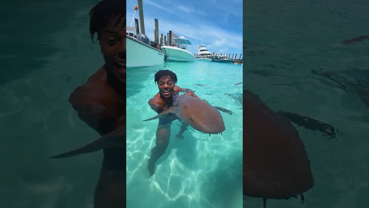 I WENT SWIMMING WITH SHARKS!! 😳🦈