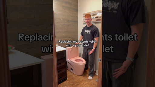 Replacing My Parents Toilet With A Pink Toilet