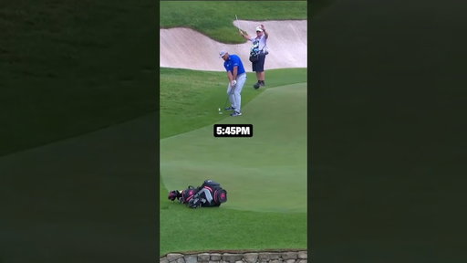 Longest Eagle Ever Recorded