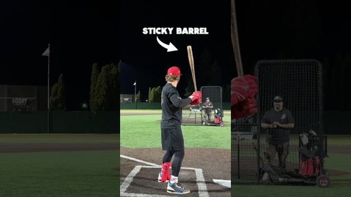 STICKY BAT | Does this actually work?