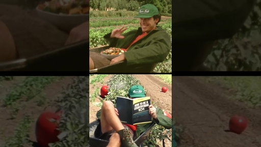 Nic Vansteenberghe x Sweetgreen Autumn Menu