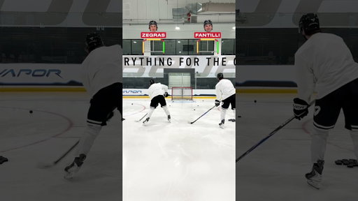 Adam Fantilli vs. Trevor Zegras in Posts 🥅