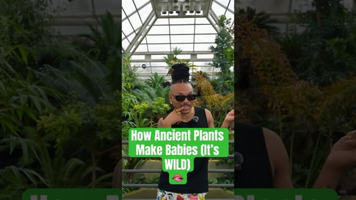 Before Flowers… THIS Is How Plants Got Busy #plants #garden #nature #naturelovers #plantlife