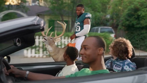 Deal Deer Wisdom
