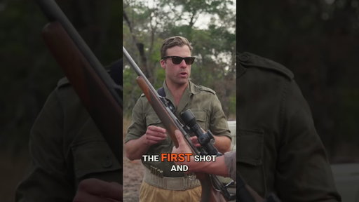 If he's still standing, keep shooting