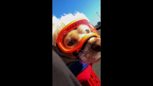 Something new is coming to Premiere for iPhone 👀  | Adobe Video #shorts