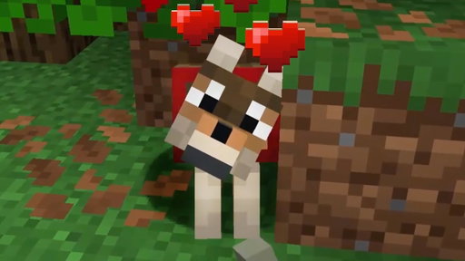 I Got a Dog