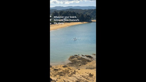 Bring your board to New Zealand