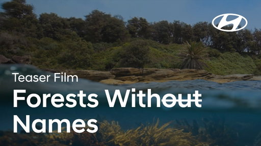 Forests Without Names | Teaser Film