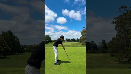 Robby Berger swing impersonation