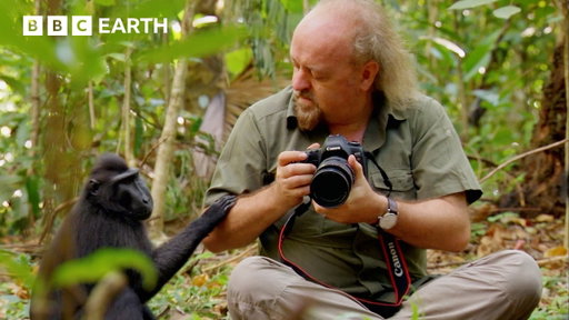 A Jungle Expedition With Bill Bailey | BBC Earth | BBC Studios