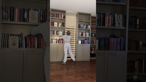 This feels like when you’re a kid and you want hidden rooms in your mansion
