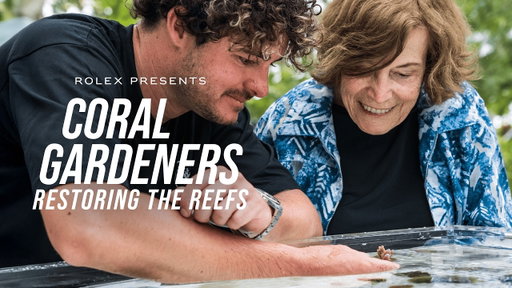 Rolex presents: Coral Gardeners – Restoring the Reefs