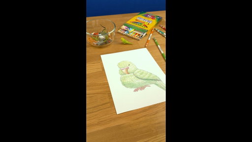 Crayola Erasable Colored Pencils || Draw What You Pick