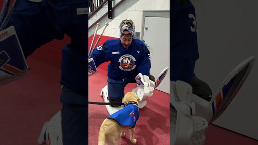 The New York Islanders Had a Surprise Guest at Practice - Marty the Dog!