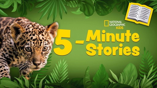 5 Minute Stories Book Read-Along 📚 | Jaguar Cub Cuties 🐆 | @natgeokids