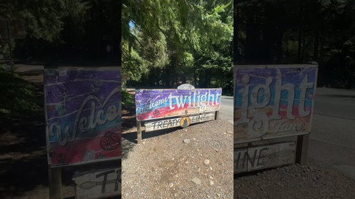 ✨ Send this to a Twilight fan! 🌲 Welcome to the town of Forks, where the world of Twilight comes to