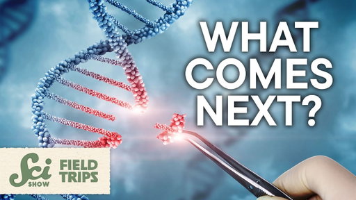 The Successor to CRISPR May Be Even More World Changing