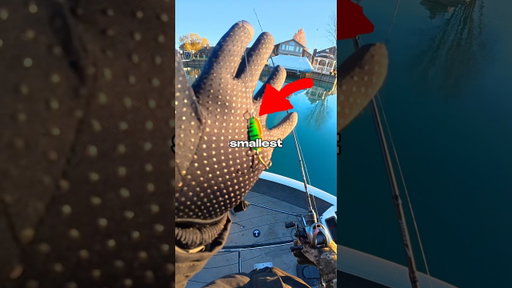 I Tested BIGGEST vs SMALLEST Lures 🐟🎣