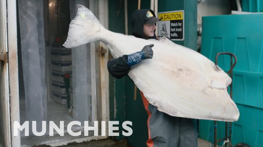 Caviar Bumps, Oysters Shucking, And 100 Pound Halibut - MUNCHIES Guide To Victoria