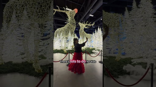 Holiday Wonder in Calgary 🎄