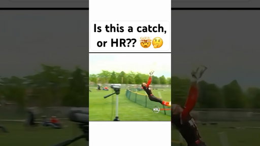 catch, or home run??