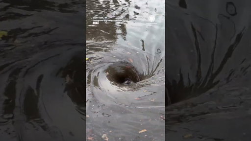 New York City Man Clears Flooded Brooklyn Street