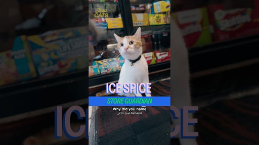 Meet Ice Spice in Fort Greene