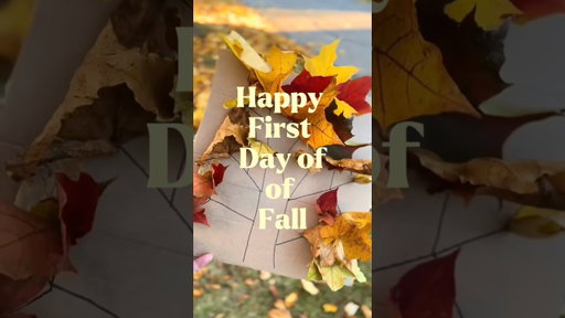 Happy Fall 🍁🍂 #fall #fallactivities #toddleractivities #fallvibes